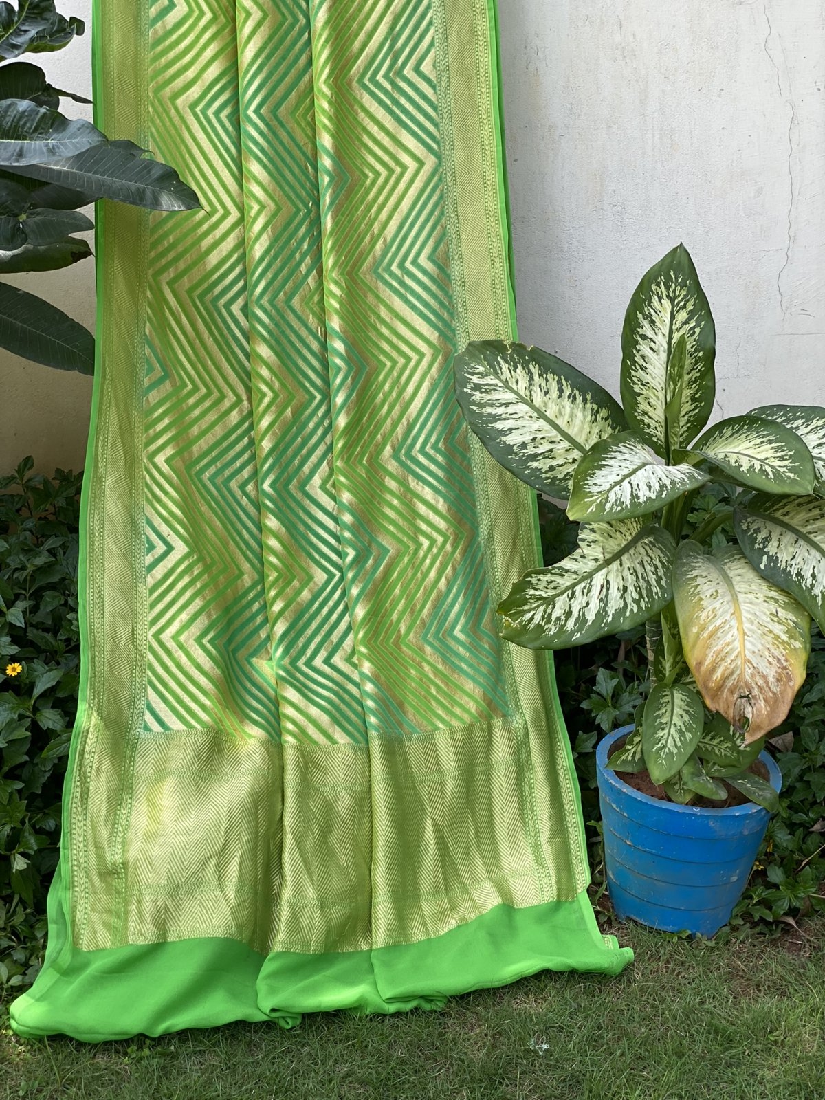 Dual Green Banarasi Georgette Saree